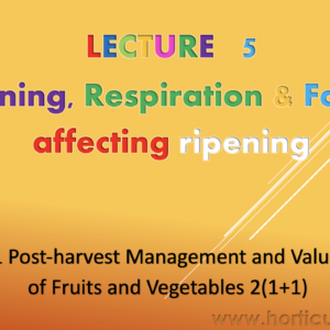 Ripening, Respiration & Factors affecting ripening PPT